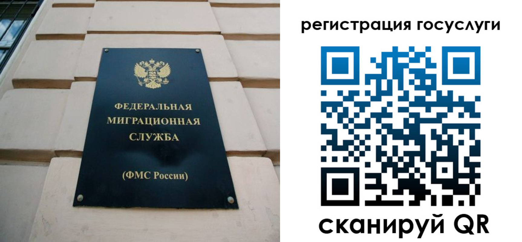 временная регистрация поиск в Назрани
